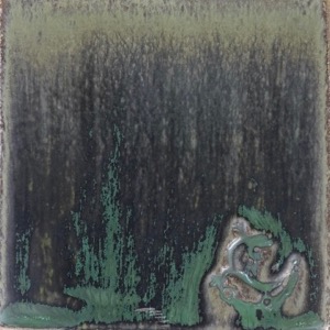algae