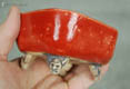 glaze example