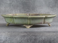bonsai pot ref: 5540